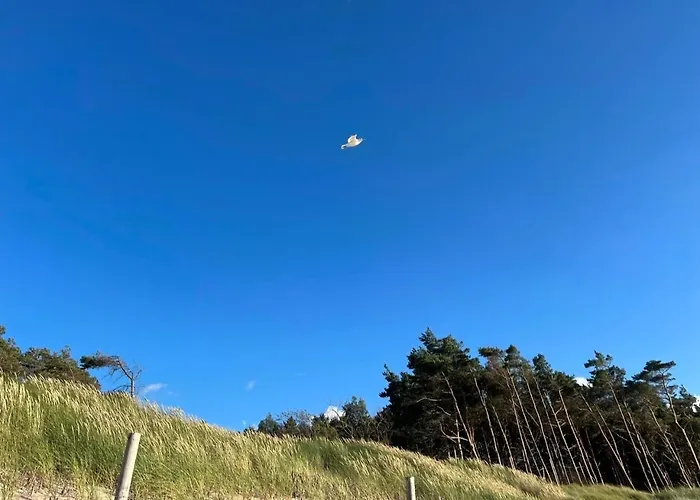 Nautica Rowy, 150m Od Plazy