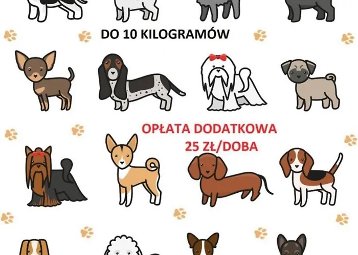 Apartment Nautica Rowy, 150m Od Plazy *